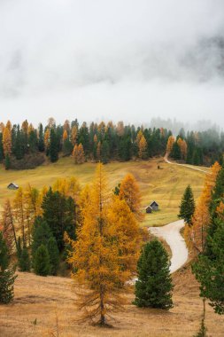 Sonbaharda yapılacak Durrenstein zirvesi ile Dolomite İtalya arasında muhteşem bir manzara var..