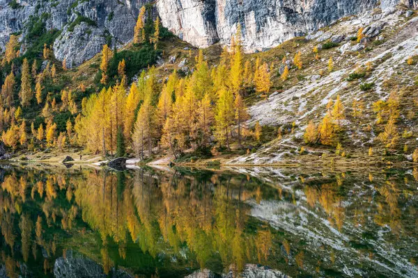 Fevkalade manzara ve Federa Gölü 'nün sonbahardaki yansıması, Dolomite İtalya.