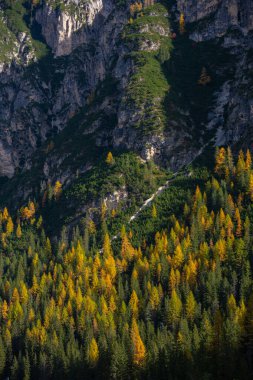 Sonbaharda Misurina 'dan Landro Gölü' ne uzanan muhteşem manzara, Dolomite İtalya.