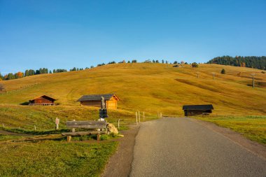Dolomitlerin kalbindeki yüksek plato Alpe di Siusi sonbaharda doğal bir cennettir.