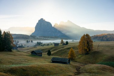 Dolomitlerin kalbindeki yüksek plato Alpe di Siusi sonbaharda doğal bir cennettir.