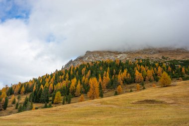 Sonbaharda yapılacak Durrenstein zirvesi ile Dolomite İtalya arasında muhteşem bir manzara var..