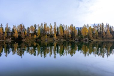 Fevkalade manzara ve Federa Gölü 'nün sonbahardaki yansıması, Dolomite İtalya.