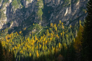 Sonbaharda Misurina 'dan Landro Gölü' ne uzanan muhteşem manzara, Dolomite İtalya.