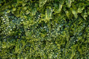 Plastik yeşil yaprak desenli arka plan