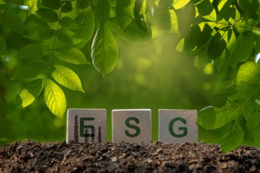 Çevre, Sosyal ve Yönetimin sembolik sembolü ESG yazılı tahta küp kutu.