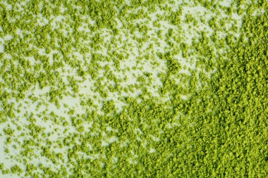 Kibrit tozu, pastel yeşil arka planda izole edilmiş, yüksek kaliteli görüntü.