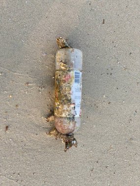 Plastik şişe plajda, kirlilik konsepti, çevre sorunları.