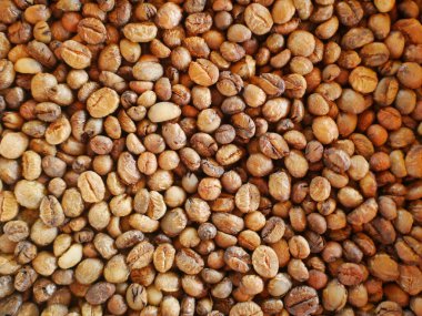 Kahve çekirdeklerinden.