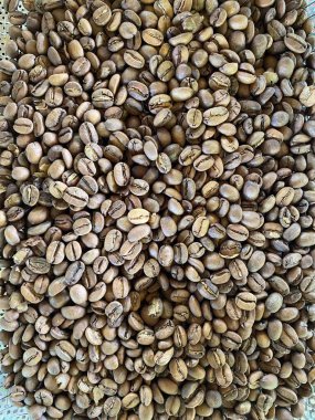 Beyaz bir kase içinde kavrulmuş kahve çekirdeği