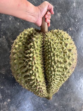 Yeşil bir Durian meyvesiyle ellerinizi yakın tutun.