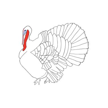 Turkey hand drawn on white background illustration. Farm
