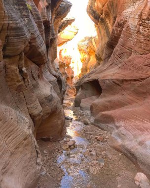 Utah ABD 'deki Willis Creek Slot Kanyonu