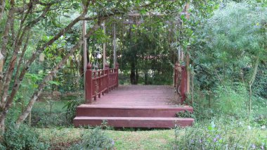 Kasım 'da Siem Reap, Kamboçya' da, Asya 'daki botanik bahçesinde güzel bir doğa.