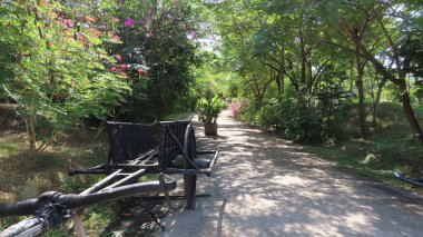 Kasım 'da Siem Reap, Kamboçya' da, Asya 'daki botanik bahçesinde güzel bir doğa.