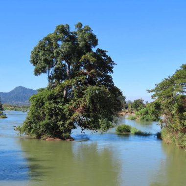 Kamboçya 'daki Kho Khon adasında, Mekong Nehri' ndeki 3000 adanın bir parçası.