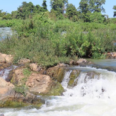 Kamboçya 'daki Kho Khon adasında, Mekong Nehri' ndeki 3000 adanın bir parçası.