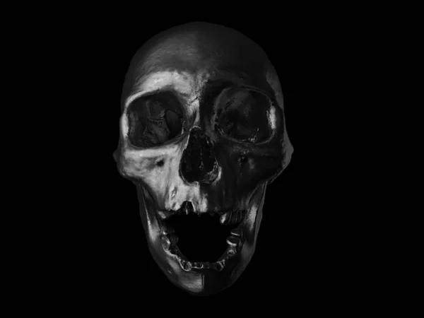 Oil black human skull with open jaw and missing teeth - front view