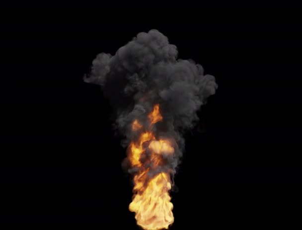 Çarpıcı Ateş Yoğun Siyah Duman Duman Hortumu Siyah Arka Planda — Stok video