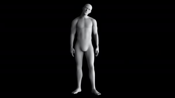 数码人类男性伸展和破解颈部 全身人面像射击 带阿尔法面具 — 图库视频影像