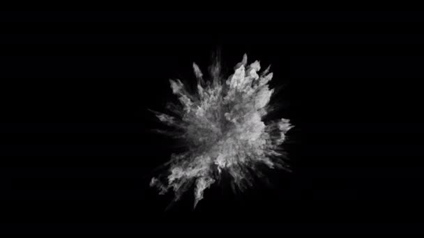 Exploze Bílého Kouře Prachu Vizuální Efekt Izolovaný Černém Pozadí — Stock video