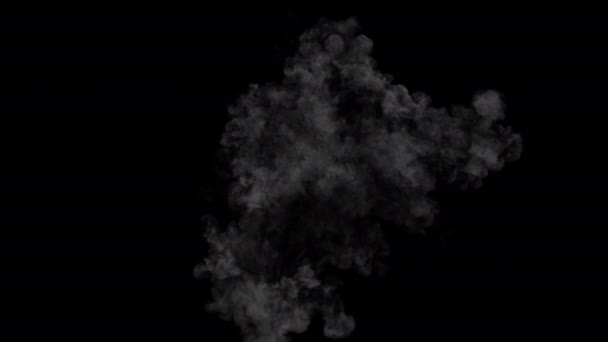 Huge Thick Smoke Explosion Alpha Mask Resolution Digital Vfx Element — Stock Video