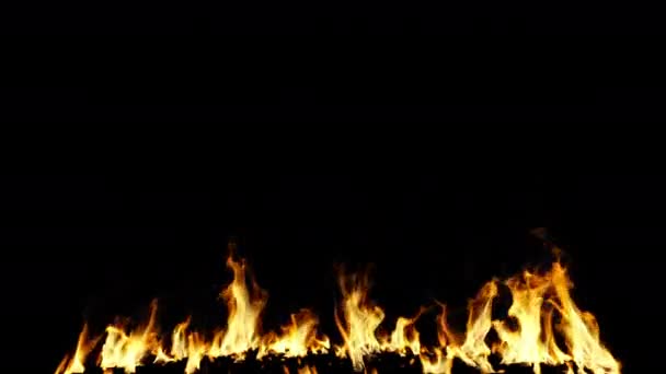 アルファ パスが付いている小さい燃える地面の炎 Pro Res — ストック動画
