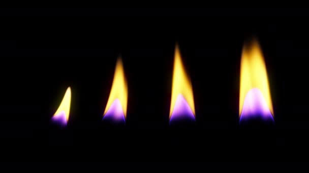 Κερί Φλόγες Τέσσερις Διαφορετικές Παραλλαγές Στο Μέγεθος Και Την Ταχύτητα — Αρχείο Βίντεο