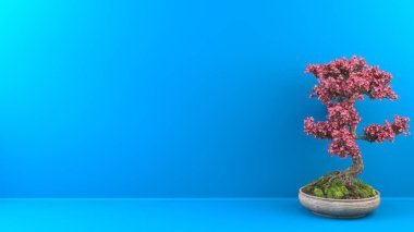 Parlak mavi arka planda güzel pembe çiçekleri olan küçük bonsai kiraz ağacı.