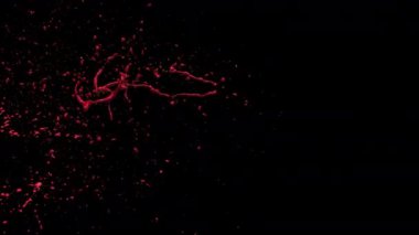 Kan sıçraması VFX elementi - yere düşen kan - 60 fps, maskeli 4K Pro Res