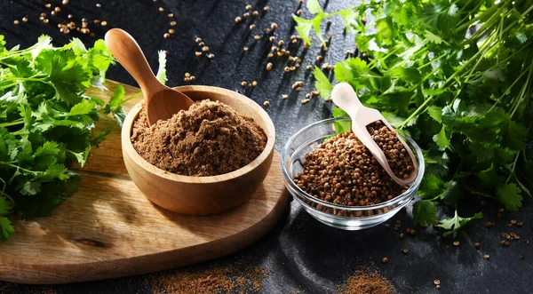Composition Ground Coriander Its Dried Seeds Fresh Leaves — Stock Photo, Image