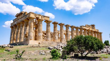 Selinunte 'deki Hera Tapınağı, İtalya' nın Sicilya 'nın güneybatı kıyısındaki antik bir Yunan şehri.