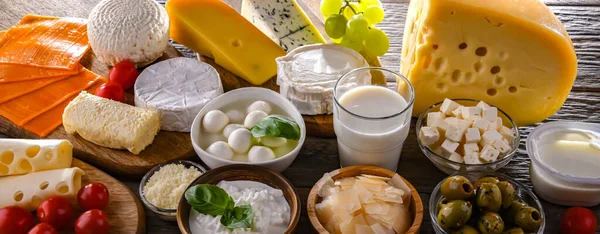 Variety Dairy Products Including Cheese Milk Yogurt — Stock Photo, Image