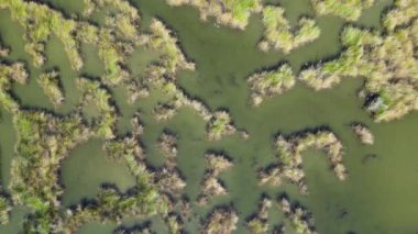 Mugla ilinin Iztuzu Sahili yakınlarındaki Dalyan Delta Nehri 'nin havadan görüntüsü.