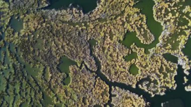 Mugla ilinin Iztuzu Sahili yakınlarındaki Dalyan Delta Nehri 'nin havadan görüntüsü.