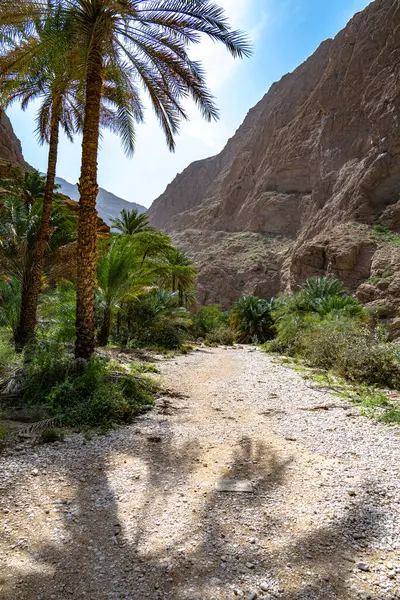 Garganta Wadi Ash Shab Gobernación Del Sudeste Omán — Foto de Stock