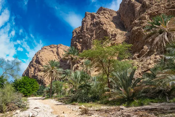 Gola Wadi Ash Shab Nel Governatorato Sudorientale Oman — Foto Stock