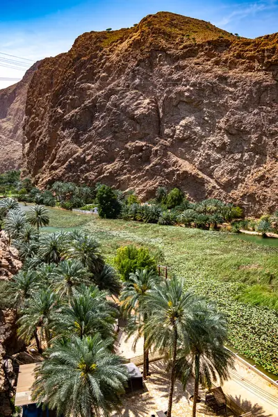 Gola Wadi Ash Shab Nel Governatorato Sudorientale Oman Immagini Stock Royalty Free