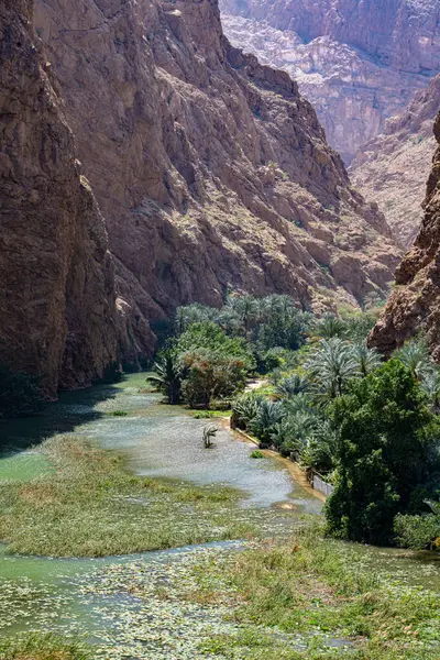 Gola Wadi Ash Shab Nel Governatorato Sudorientale Oman Immagini Stock Royalty Free