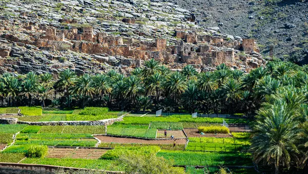 Riwaygh as Safil 'in terk edilmiş köy kalıntıları, Valley Necrosis, Umman