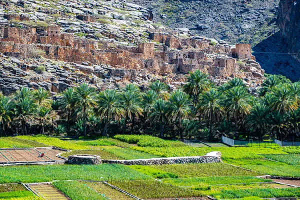 Ruinas Abandonadas Del Pueblo Riwaygh Safil Necrosis Del Valle Omán Imagen De Stock