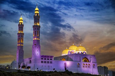 MÜZCAT, OMAN - 20 MAR 2024: Muscat, Umman 'daki Muhammed Al Ameen Camii.