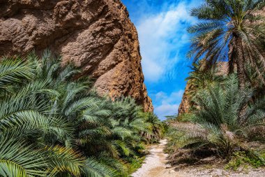 Güneydoğu Valiliği Wadi Ash Shab Boğazı, Umman
