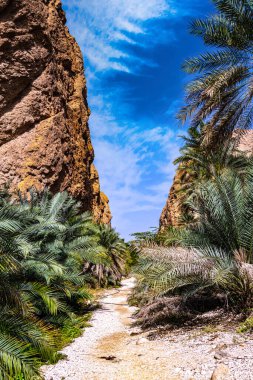Güneydoğu Valiliği Wadi Ash Shab Boğazı, Umman