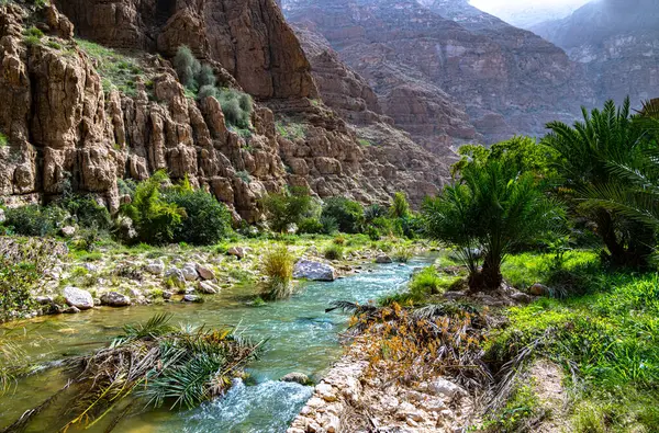Gola Wadi Ash Shab Nel Governatorato Sudorientale Oman — Foto Stock