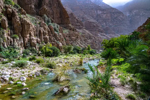 Schlucht Des Wadi Ash Shab Südöstlichen Gouvernement Oman Stockbild