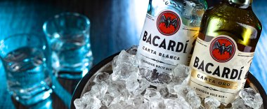 POZNAN, POL - 12 APR 2024: Bacardi Rom şişeleri, Bacardi Limited 'in bir ürünü, dünyanın en büyük özel mülkiyetli, aile ruhları şirketi, merkezi Hamilton, Bermuda' da..