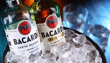 POZNAN, POL - 12 APR 2024: Bacardi Rom şişeleri, Bacardi Limited 'in bir ürünü, dünyanın en büyük özel mülkiyetli, aile ruhları şirketi, merkezi Hamilton, Bermuda' da..