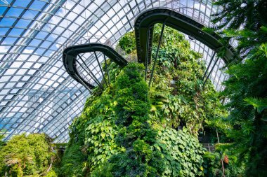 Singapur 'daki Bay Doğa Parkı' nın yanındaki Bahçelerde Bulut Ormanı.