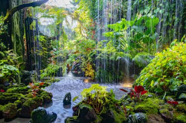Singapur 'daki Bay Doğa Parkı' nın yanındaki Bahçelerde Bulut Ormanı.